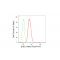 LifeSab™ EHD1 Rabbit mAb (20 μl)