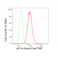 LifeSab™ eIF1A Rabbit mAb (20 μl)