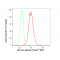 LifeSab™ eIF1A Rabbit mAb (20 μl)