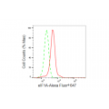 LifeSab™ eIF1A Rabbit mAb (20 μl)