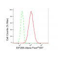 LifeSab™ EIF2B5 Rabbit mAb (20 μl)