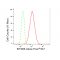 LifeSab™ EIF2B5 Rabbit mAb (20 μl)