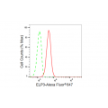 LifeSab™ ELP3 Rabbit mAb (20 μl)