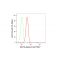 LifeSab™ ELP3 Rabbit mAb (20 μl)