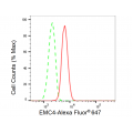 LifeSab™ EMC4 Rabbit mAb (20 μl)