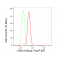 LifeSab™ EMC4 Rabbit mAb (20 μl)