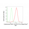 LifeSab™ CYP17A1 Rabbit mAb (20 μl)