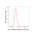 LifeSab™ EPHB3 Rabbit mAb (20 μl)