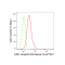 LifeSab™ EPHB3 Rabbit mAb (20 μl)