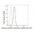 LifeSab™ EXOC3 Rabbit mAb (20 μl)