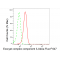 LifeSab™ EXOC3 Rabbit mAb (20 μl)