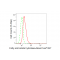 LifeSab™ FAAH Rabbit mAb (20 μl)