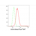 LifeSab™ Actin Rabbit mAb (20 μl)