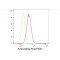 LifeSab™ Actin Rabbit mAb (20 μl)