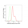 LifeSab™ FANCD2 Rabbit mAb (20 μl)