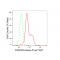LifeSab™ FANCD2 Rabbit mAb (20 μl)