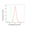 LifeSab™ FAS Rabbit mAb (20 μl)