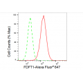 LifeSab™ FDFT1 Rabbit mAb (20 μl)