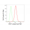 LifeSab™ FDFT1 Rabbit mAb (20 μl)