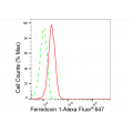 LifeSab™ FDX1 Rabbit mAb (20 μl)