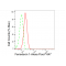 LifeSab™ FDX1 Rabbit mAb (20 μl)