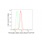 LifeSab™ FGA Rabbit mAb (20 μl)