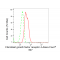 LifeSab™ FGFR4 Rabbit mAb (20 μl)