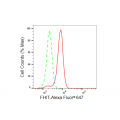LifeSab™ FHIT Rabbit mAb (20 μl)