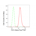 LifeSab™ FIS1 Rabbit mAb (20 μl)