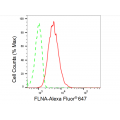 LifeSab™ FLNA Rabbit mAb (20 μl)