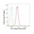 LifeSab™ FLT1 Rabbit mAb (20 μl)