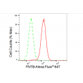 LifeSab™ FNTB Rabbit mAb (20 μl)