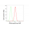 LifeSab™ FNTB Rabbit mAb (20 μl)