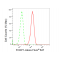 LifeSab™ FOXP1 Rabbit mAb (20 μl)