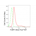 LifeSab™ FUBP1 Rabbit mAb (20 μl)