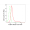 LifeSab™ FUBP1 Rabbit mAb (20 μl)