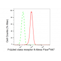 LifeSab™ FZD8 Rabbit mAb (20 μl)