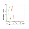 LifeSab™ GAA Rabbit mAb (20 μl)