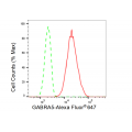 LifeSab™ GABRA5 Rabbit mAb (20 μl)