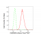 LifeSab™ GABRA5 Rabbit mAb (20 μl)