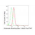 LifeSab™ GAD1 Rabbit mAb (20 μl)