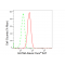 LifeSab™ GATA6 Rabbit mAb (20 μl)