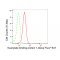 LifeSab™ GBP1 Rabbit mAb (20 μl)