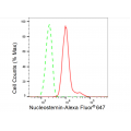 LifeSab™ GNL3 Rabbit mAb (20 μl)