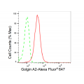 LifeSab™ GOLGA2 Rabbit mAb (20 μl)