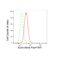 LifeSab™ Ezrin Rabbit mAb (20 μl)