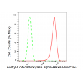 LifeSab™ ACCA Rabbit mAb (20 μl)