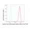 LifeSab™ ACCA Rabbit mAb (20 μl)