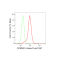 LifeSab™ CDKN2C Rabbit mAb (20 μl)