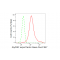 LifeSab™ ALYREF Rabbit mAb (20 μl)